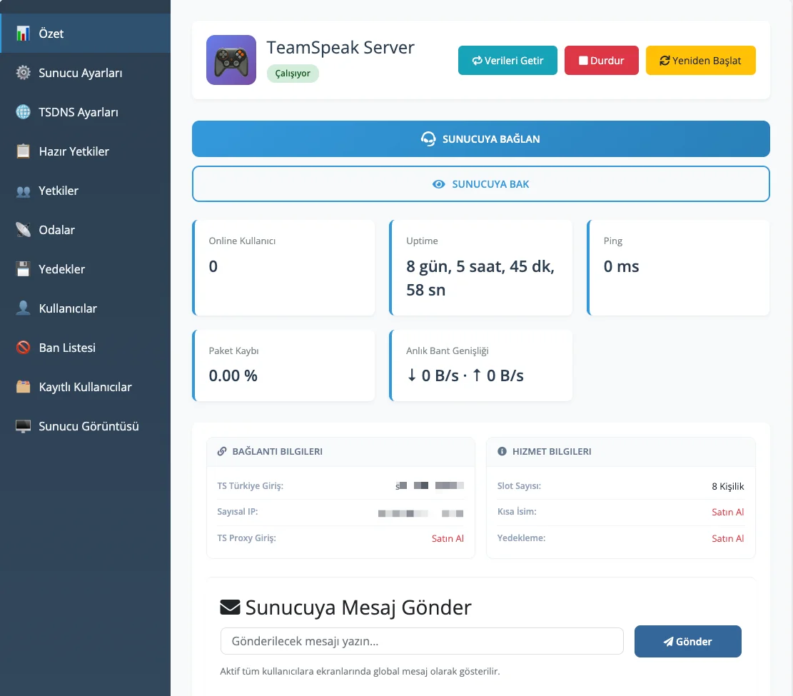 TS3 Panel — özet ekranı: sunucu durumu ve canlı istatistikler